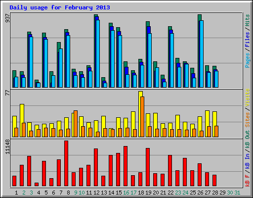 Daily usage for February 2013