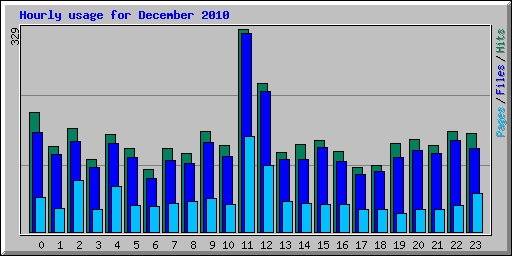 Hourly usage for December 2010