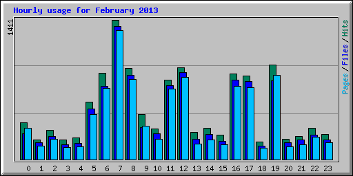 Hourly usage for February 2013